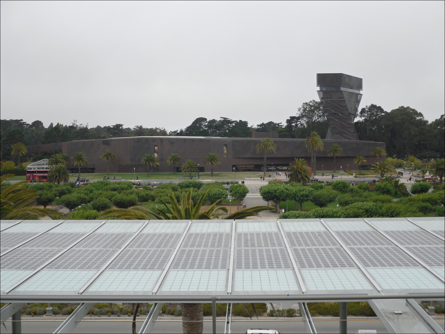 De Young Museum from CAS roof